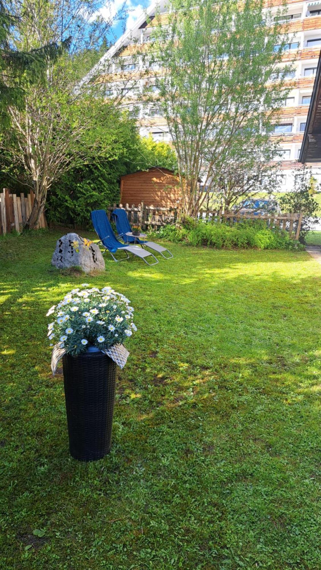 Sandras Ferienhaus Bungalow Sonnenalm Bad Mitterndorf Zewnętrze zdjęcie